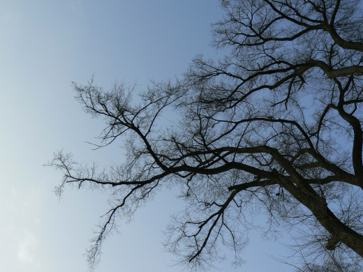 48593 (a): :1600x1200